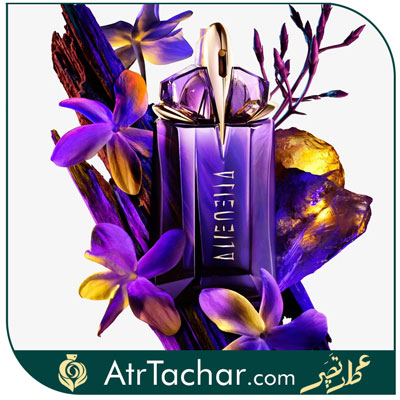 عطر موگلر زنانه