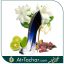 عطر گود گرل مشکی اصلی