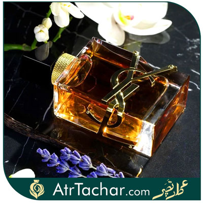ساختار عطر ایو سن لورن لیبر اینتنس