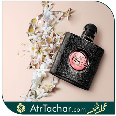 ویژگی عطر ایو سن لورن بلک اپیوم
