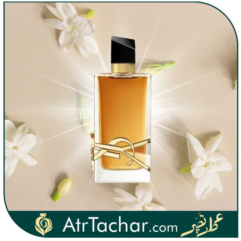 ساختار عطر ایو سن لورن لیبر اینتنس