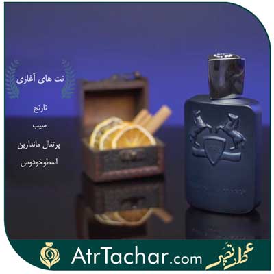 نت اولیه عطر مارلی لیتون