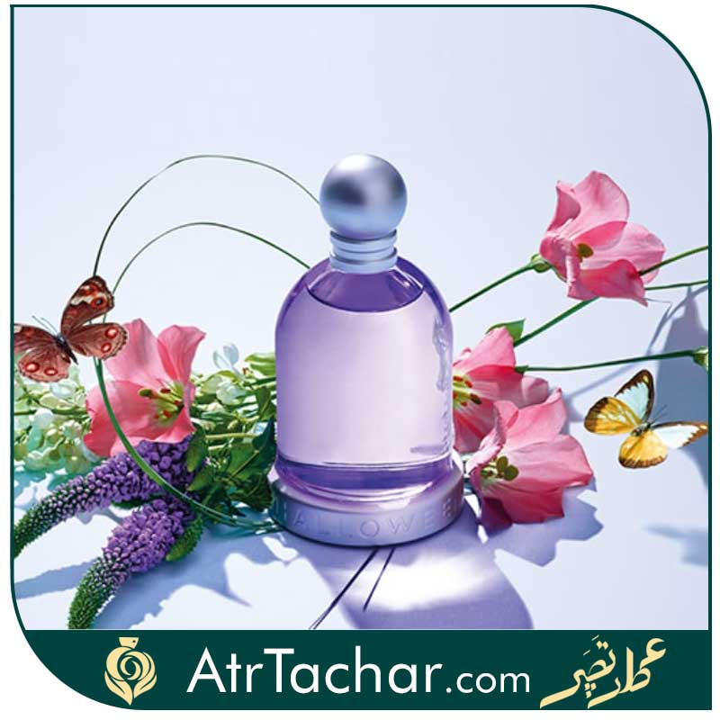 عطر هالووین وومن بنفش ژان نیل Halloween women