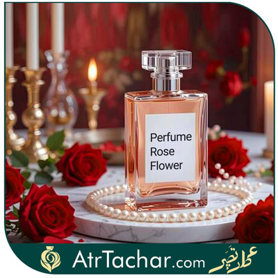 گل محمدی